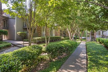 A tree-lined walkway in a residential area